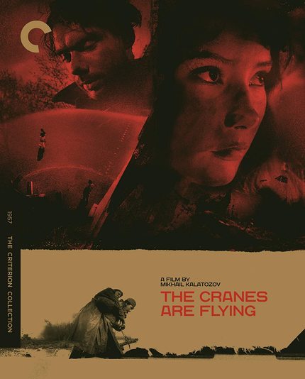 Blu-ray Review: THE CRANES ARE FLYING Takes Off as Criterion Blu-ray Upgrade